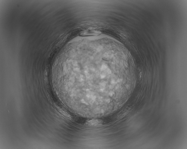 X0000055250269200509071623.png