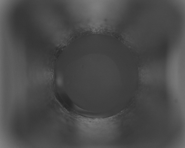 X0000051540039200506281750.png