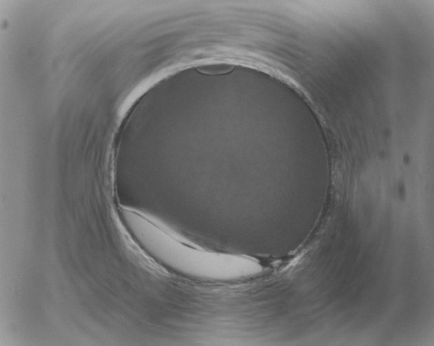 X0000054171522200508101747.png