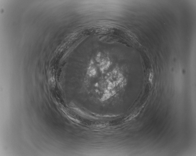 X0000054170771200508101759.png