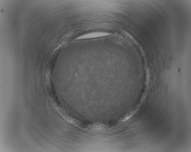 X0000054170209200508101808.png