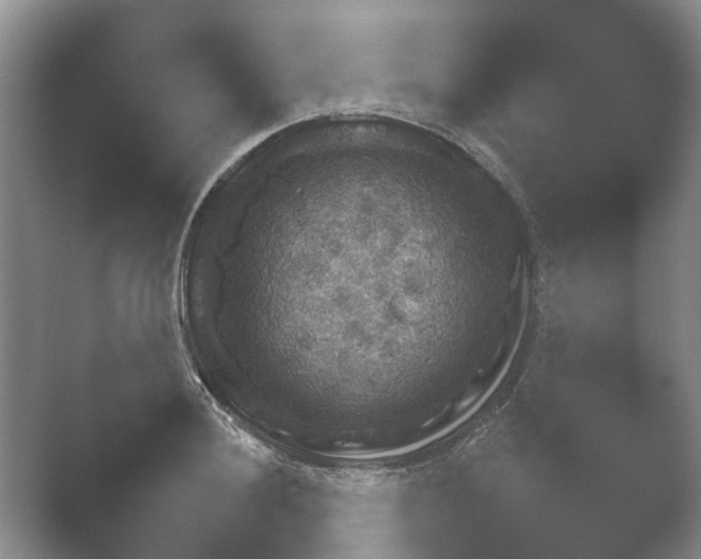 X0000052151036200507051946.png