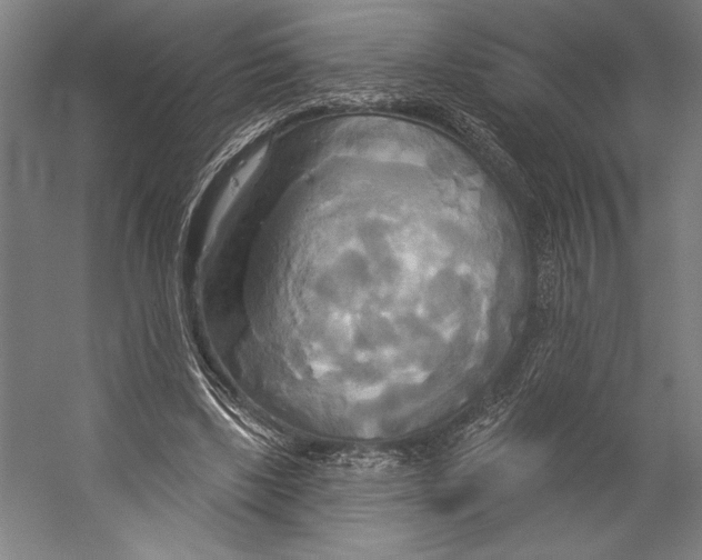 X0000055250443200509071620.png