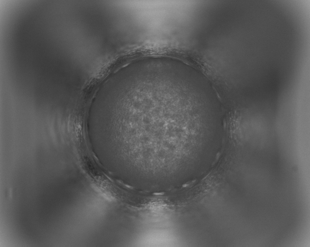 X0000052150742200507051951.png