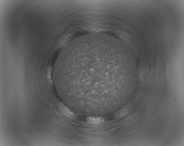 X0000055060185200508161655.png