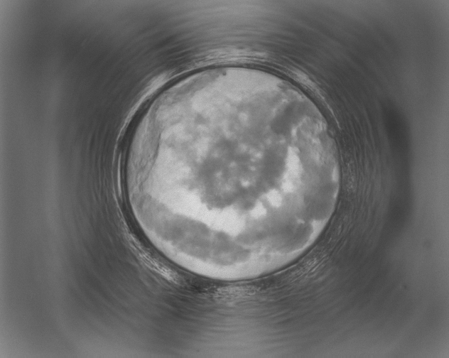 X0000055251227200509071607.png