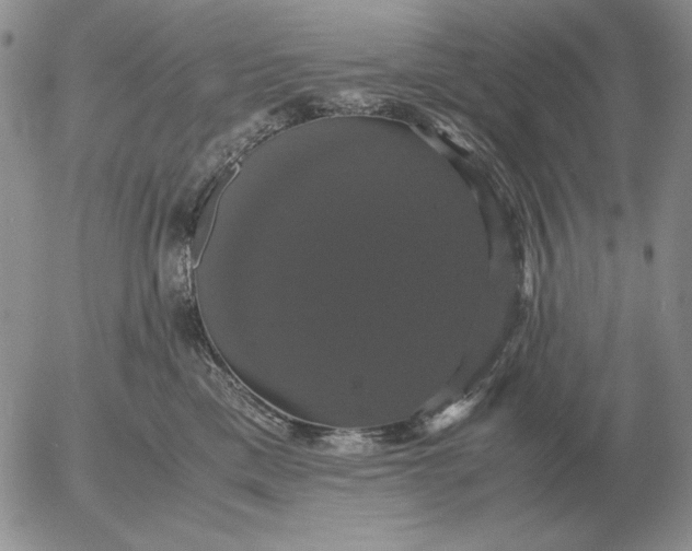 X0000054170425200508101804.png