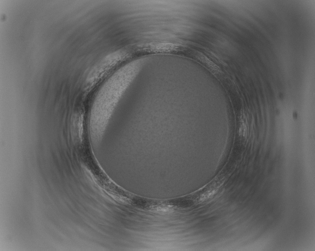 X0000054170206200508101808.png