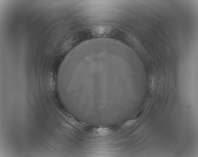 X0000054350324200508190135.png