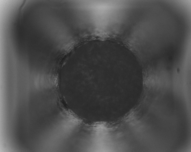 X0000041030285200411081242.png