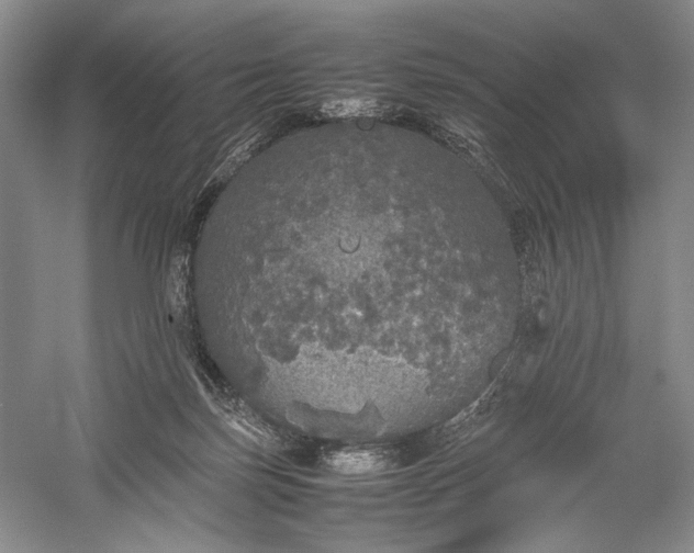 X0000055060171200508161655.png