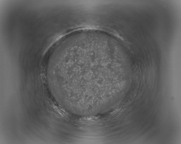 X0000055211255200508301312.png