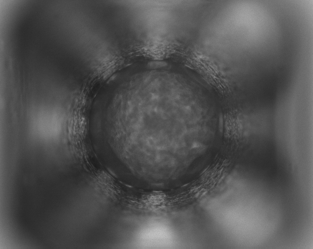 X0000044400671200412290432.png