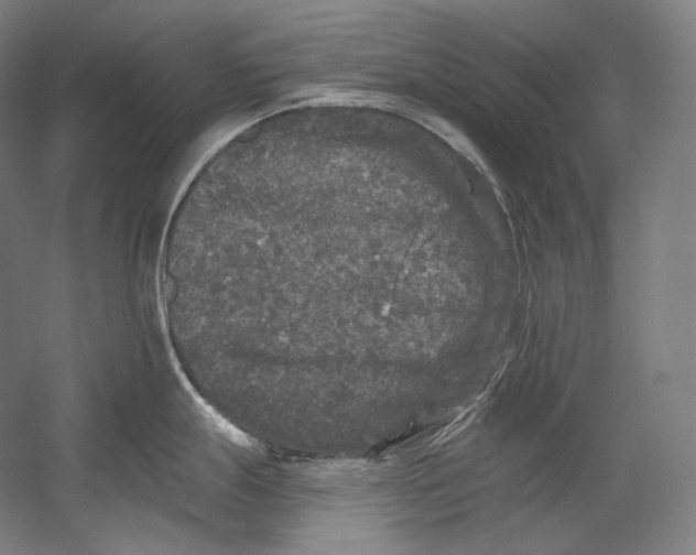X0000055211247200508301313.png