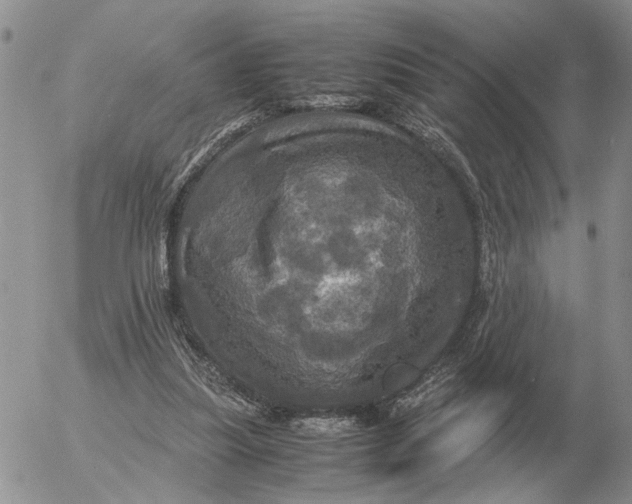 X0000054170251200508101807.png