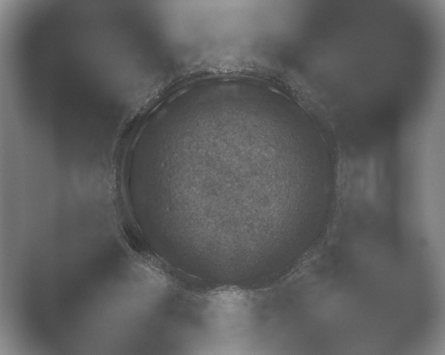 X0000052150202200507052000.png