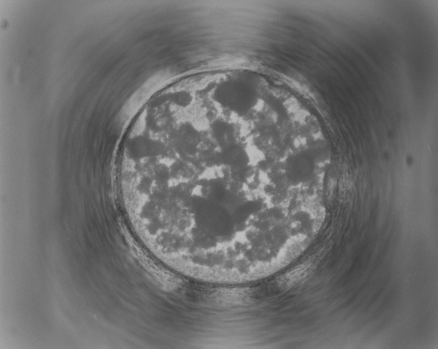 X0000054581423200508300049.png