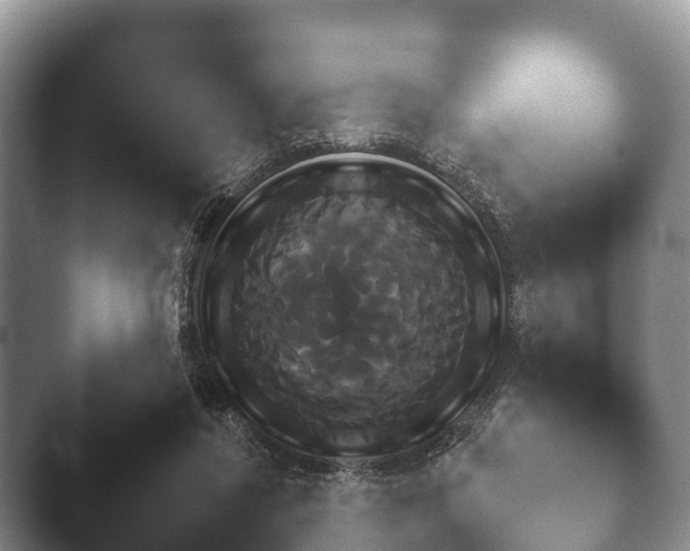 X0000045390356200501241408.png