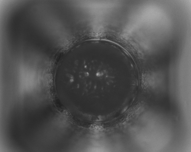 X0000045390602200501241404.png