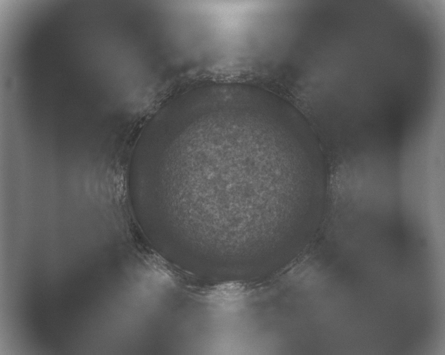 X0000052150335200507051958.png