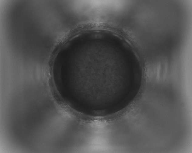 X0000054730494200508171855.png