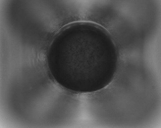 X0000054730086200508171903.png