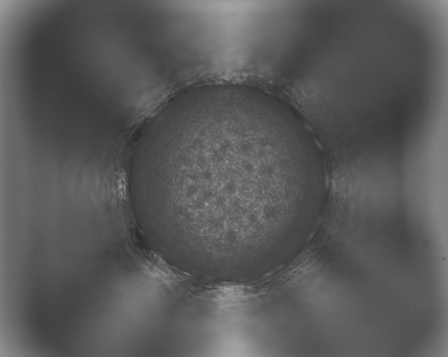 X0000052150623200507051953.png