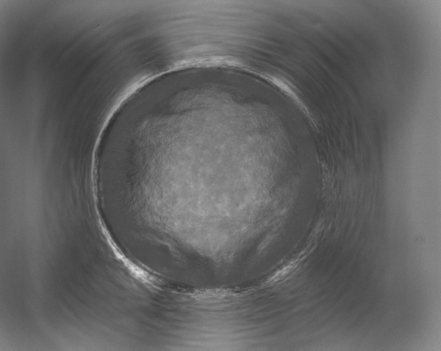 X0000055211046200508301316.png