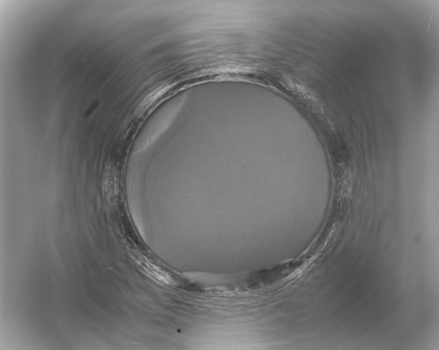 X0000054351169200508190120.png
