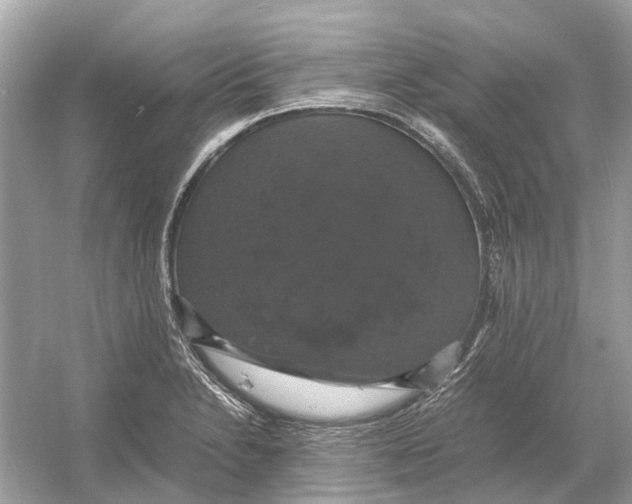 X0000054351230200508190120.png