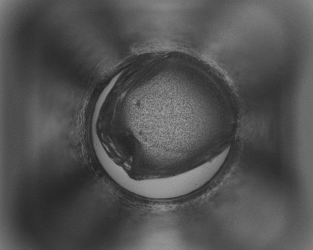 X0000045460825200502081416.png