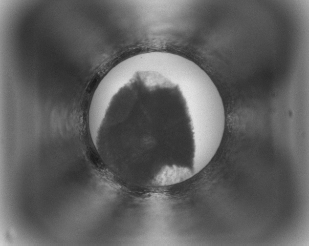 X0000043780552200412291328.png