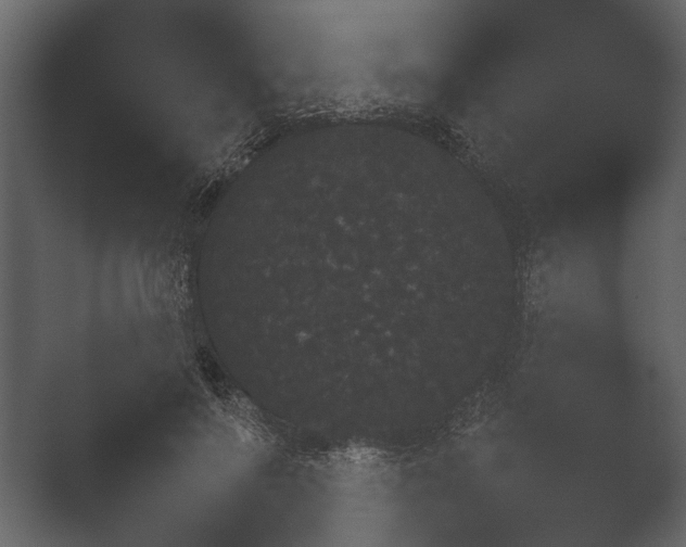 X0000051540695200506281739.png