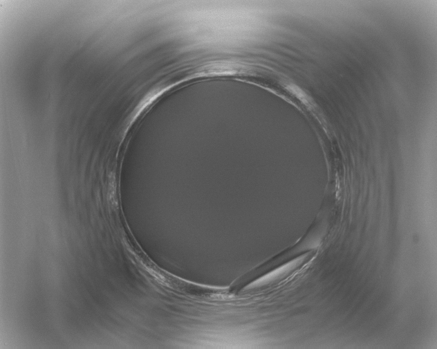 X0000054351465200508190115.png