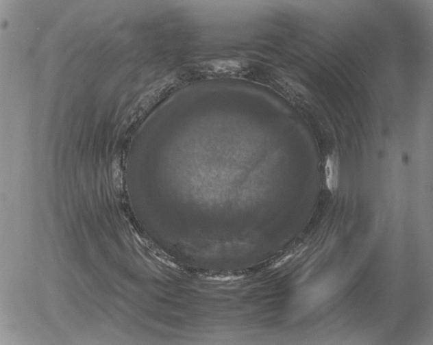 X0000054171395200508101748.png