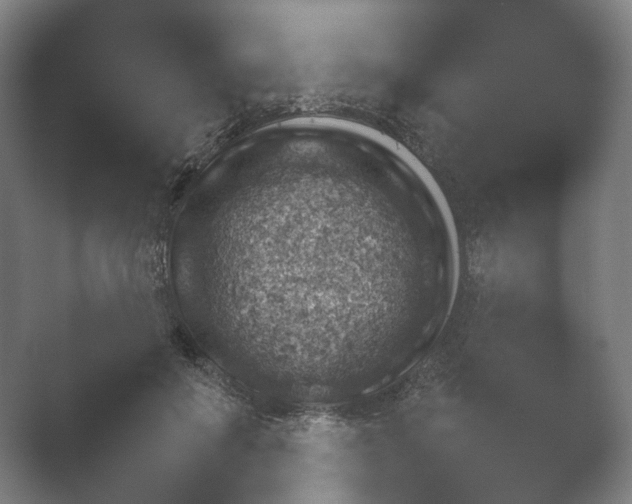 X0000052280503200507132032.png