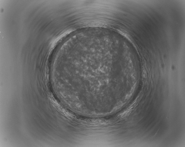 X0000054170979200508101755.png