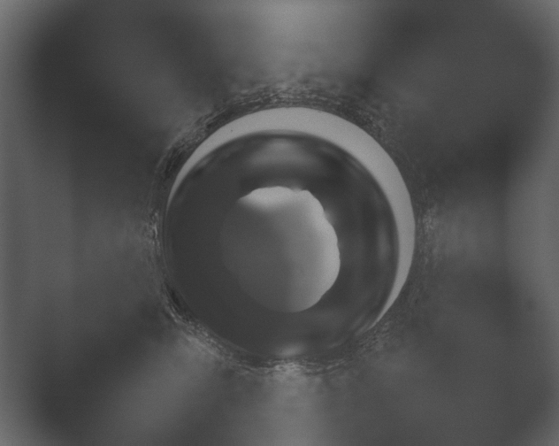 X0000051540423200506281744.png