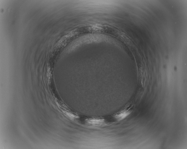 X0000054170223200508101808.png