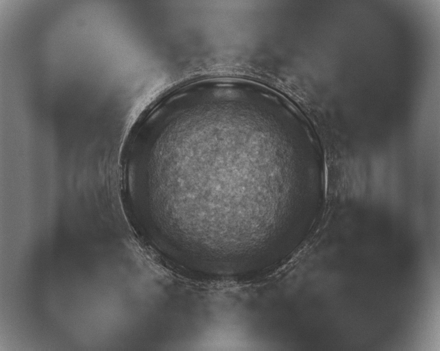 X0000038920195200409291014.png
