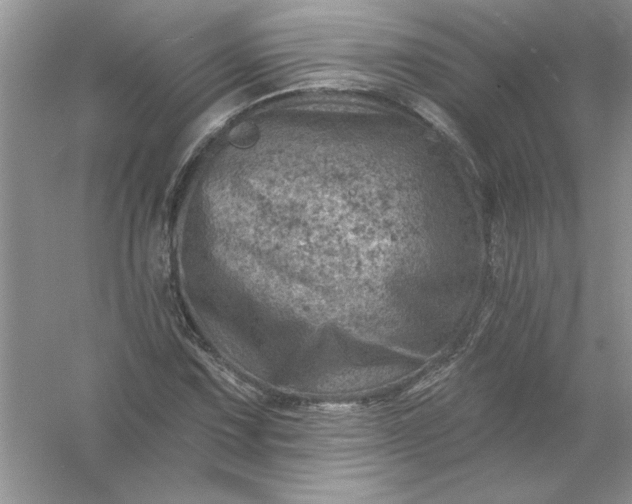 X0000054301067200508042304.png