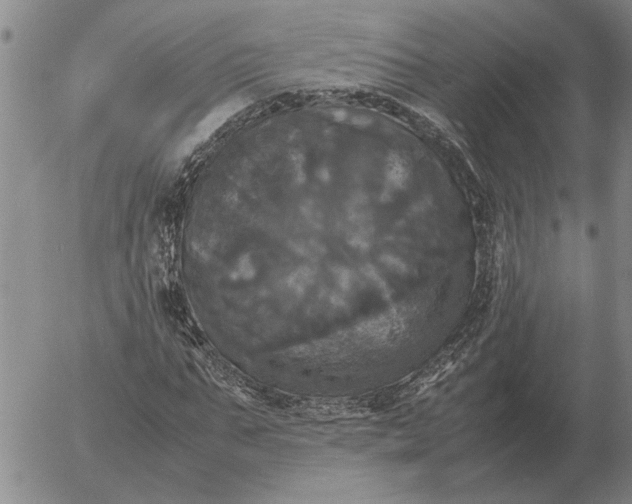 X0000054170871200508101757.png