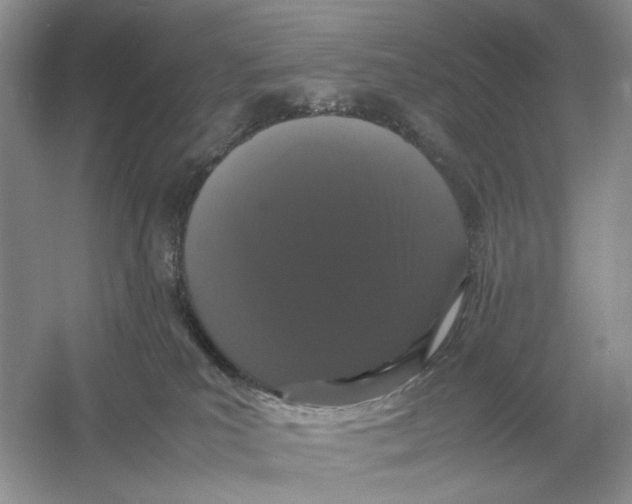X0000054350039200508190140.png