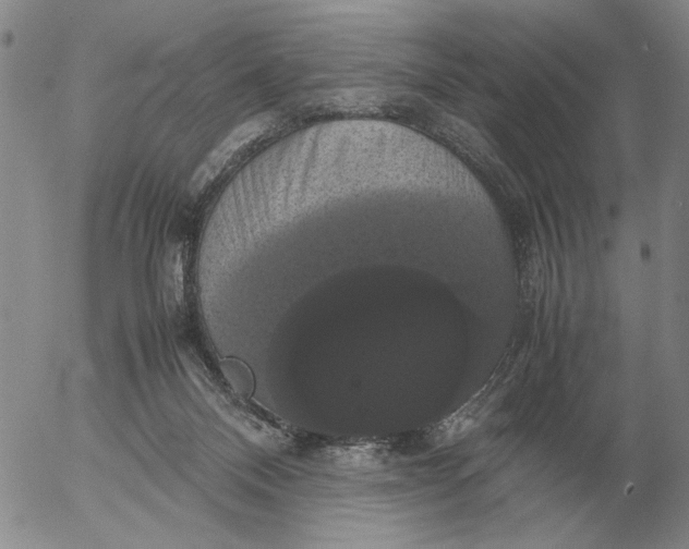 X0000054170120200508101809.png