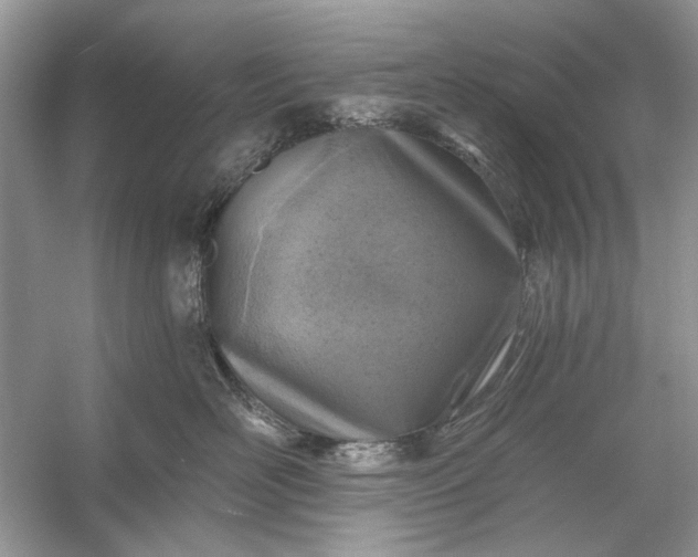 X0000054300526200508042313.png