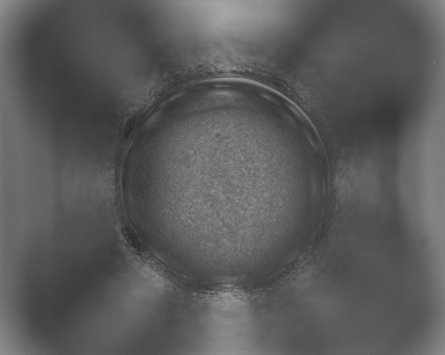X0000052280402200507132034.png