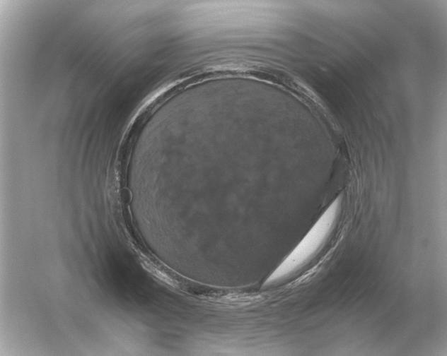 X0000054350779200508190127.png