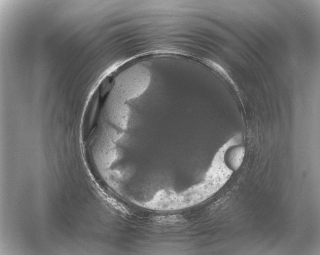 X0000054351133200508190121.png