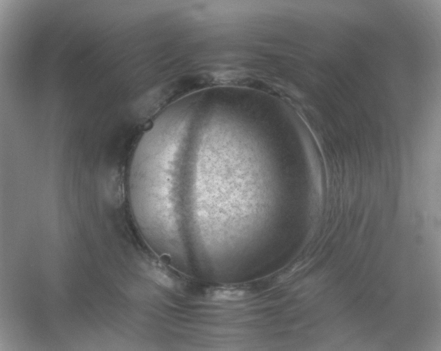X0000054330471200508111924.png