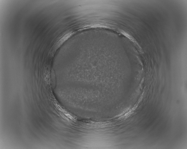 X0000055060977200508161641.png